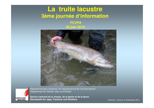 sauvegarde de la truite lacustre valaisanne - Fishfinder.ch