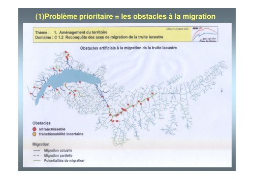 sauvegarde de la truite lacustre valaisanne - Fishfinder.ch