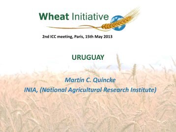 Presentation 1 (PDF 3.2MB) - Wheat Initiative