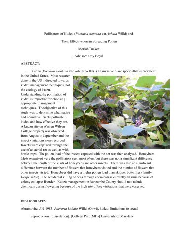 Pollinators of Kudzu - Warren Wilson College