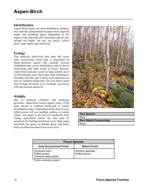 Focus Species Forestry - Maine Audubon