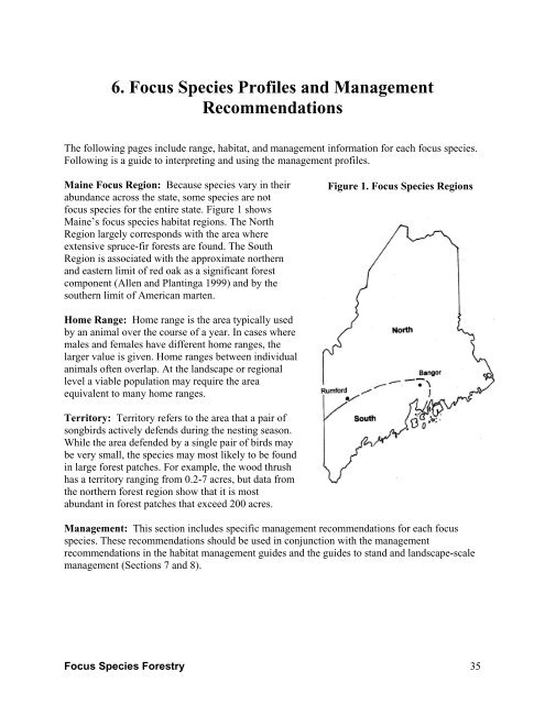 Focus Species Forestry - Maine Audubon