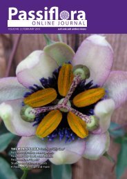 【Rockstones】 downloads/Killip 2.pdf - Passion Flowers