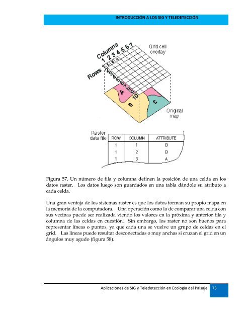 texto del curso sig 2010 - aviso - Catie