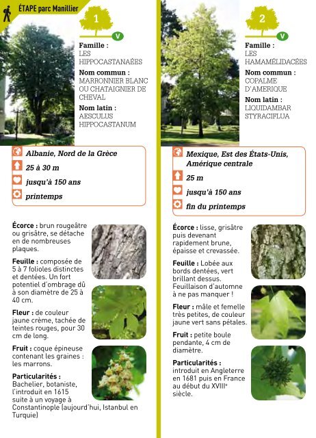 Les Arbres De Parc