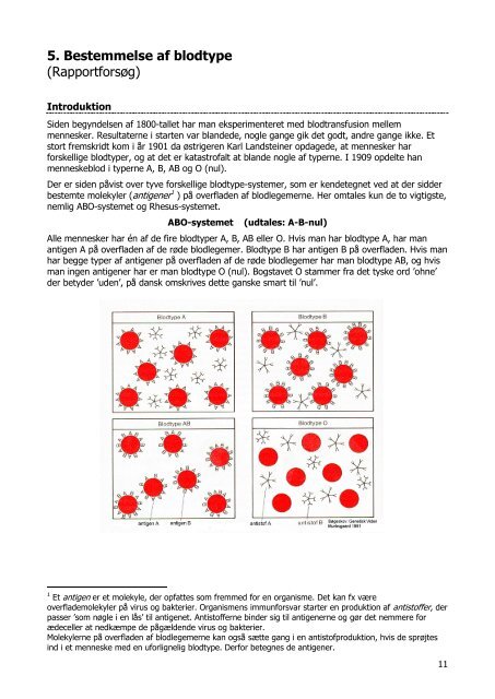 Laboratoriekursus Biologi C-niveau - KVUC