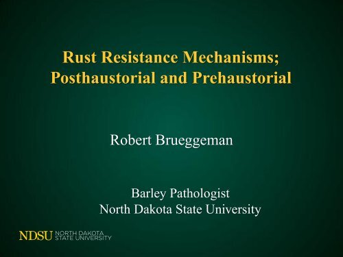 Rust Resistance Mechanisms - Plant Management Network