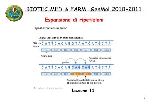 11 BIOTEC GenMol 10_11 tripl