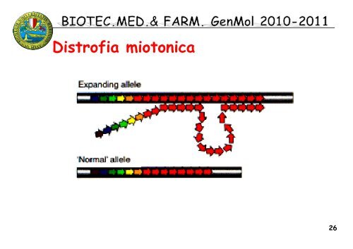 11 BIOTEC GenMol 10_11 tripl