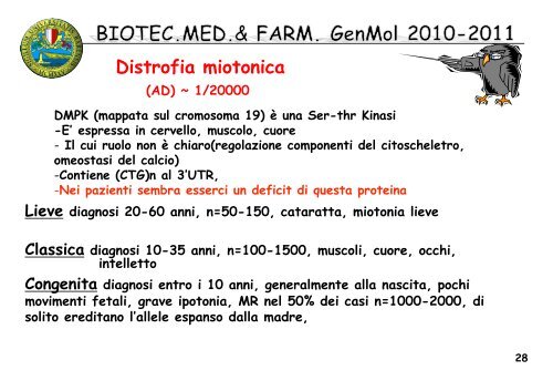 11 BIOTEC GenMol 10_11 tripl