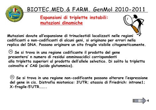 11 BIOTEC GenMol 10_11 tripl