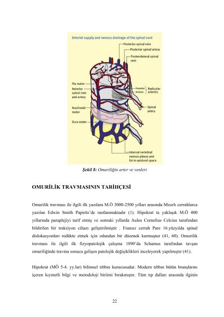 deneysel spinal kord yaralanma modelinde clopidogrelin koruyucu ...