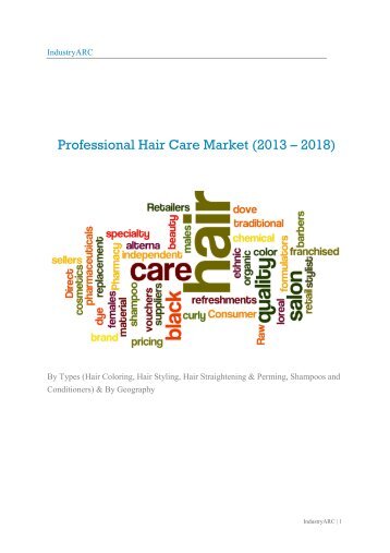 Professional Hair Care Market (2013 – 2018)