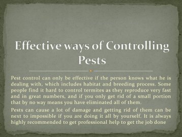 Professional pest control Columbia