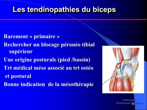 MESOTHERAPIE et GENOU