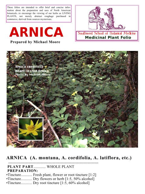 Arnica File - Southwest School of Botanical Medicine
