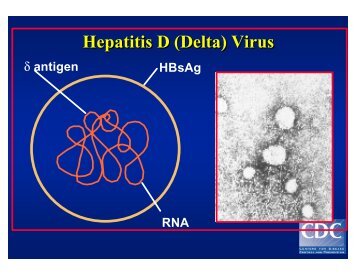 Hepatitis D (Delta) Virus