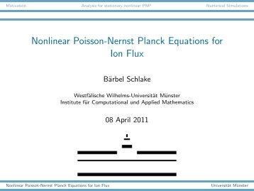 Nonlinear Poisson-Nernst Planck Equations for Ion Flux