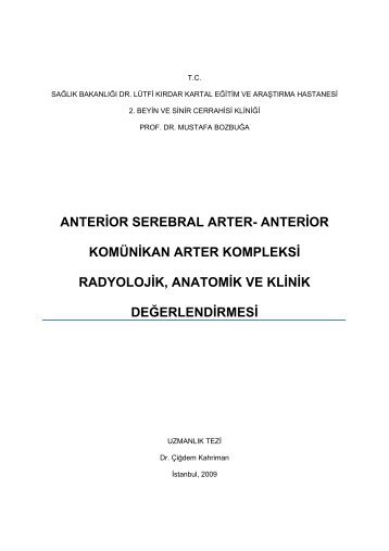 ANTERÄ°OR SEREBRAL ARTER- ANTERÄ°OR KOMÃNÄ°KAN ARTER ...