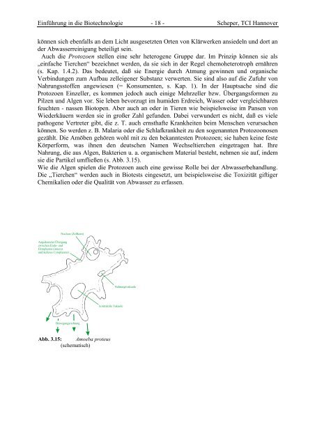 Prof. Th. Scheper Institut fÃ¼r Technische Chemie Bioprozesstechnik ...