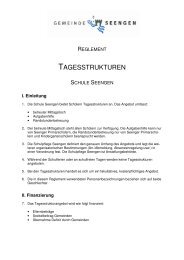 Reglement Tagesstrukturen - Seengen