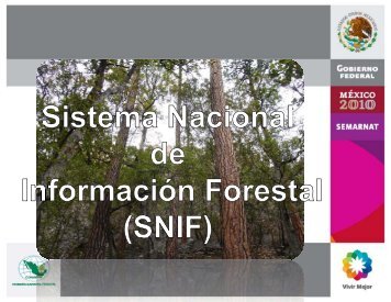 Sistema Nacional de Información Forestal (SNIF - SEIF)