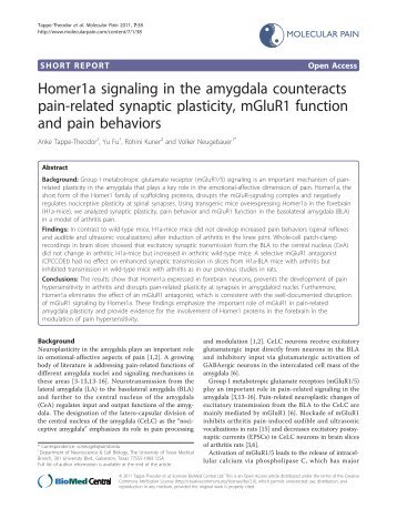 Homer1a signaling in the amygdala counteracts ... - Molecular Pain