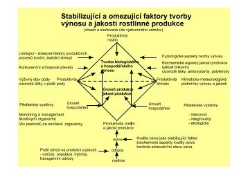 Meziplodiny