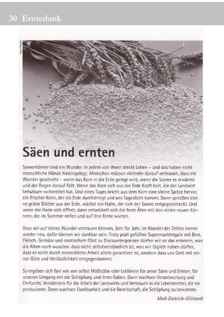 Gemeindebrief (Oktober 2008) - Heeslinger