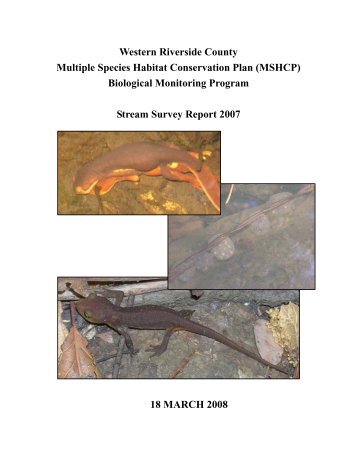 Stream Survey Report 2007 - Western Riverside County Regional ...