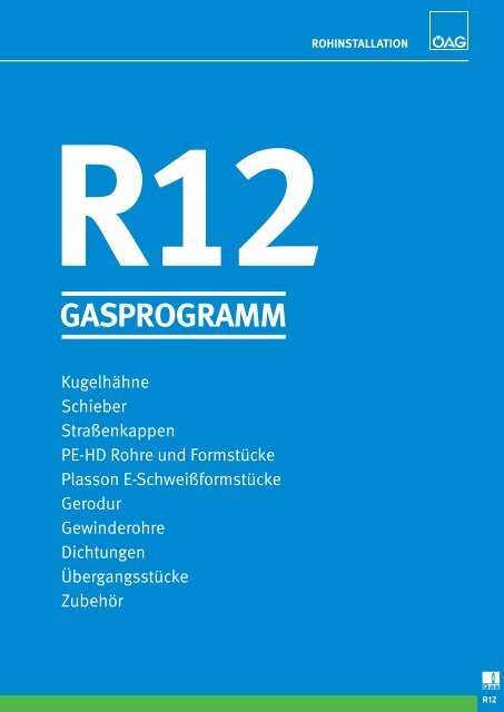 r12 gasprogramm