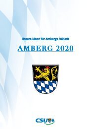 AMBERG 2020