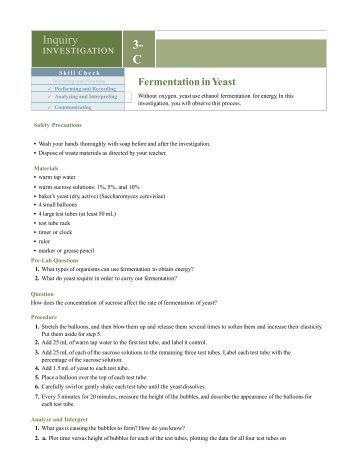 SBI4U Fermentation in Yeast lab MHR.pdf