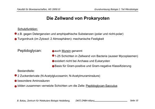 download pdf (Mikrobiologie, 24.11. 09): B. Bukau - ZMBH
