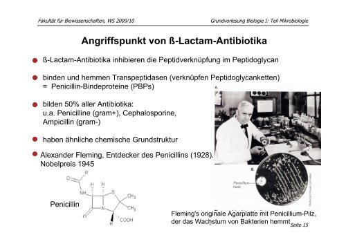 download pdf (Mikrobiologie, 24.11. 09): B. Bukau - ZMBH