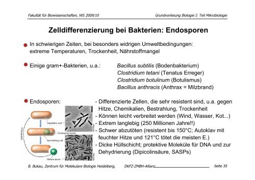 download pdf (Mikrobiologie, 24.11. 09): B. Bukau - ZMBH