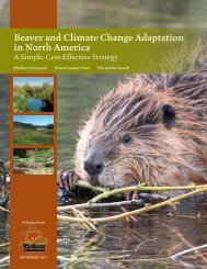 Beavers and Climate Change Adaptation in North America.