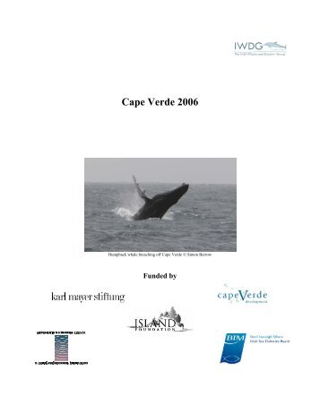 Cape Verde 2006 - Irish Whale and Dolphin Group