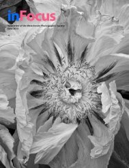 June 2013 Newsletter of the Westchester Photographic Society - WPS