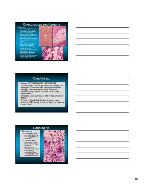 Fungal and Parasitic Infections of the CNS - Inova Health System