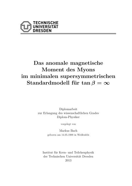 Das anomale magnetische Moment des Myons im minimalen ...