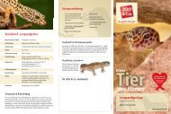 Leopardgeckos - Zoo & Co.