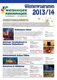 Reichinger_Winterprogramm 2013 ... - Reichinger-Weidinger