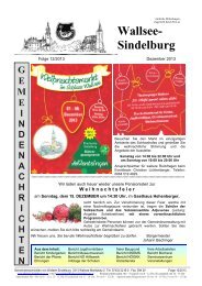Email, Chatten, Soziale Netzwerke und Online-Spiele Gefahren im Internet: Bekanntschaften, Viren, Werbung, Cybermobbing Datenschutz Urheberrecht Informatik N Mittelschule Wallsee-Sindelburg