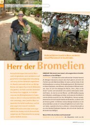 Herr der Bromelien.pdf - Swiss-Trac
