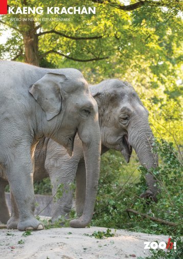 Apéroangebot im Elefantenpark [PDF, 1.00 MB] - Zoo Zürich