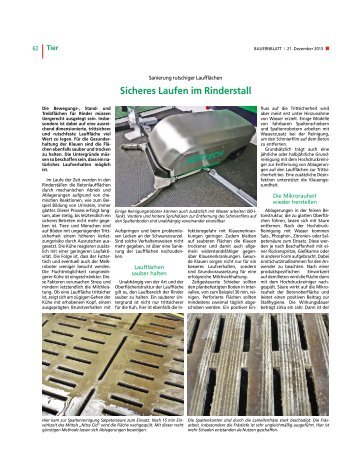 Sicheres Laufen im Rinderstall - Landwirtschaftskammer Schleswig ...