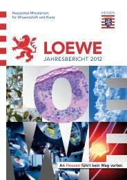 LOEWE Jahresbericht 2012 - Hessisches Ministerium für ...