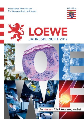 LOEWE Jahresbericht 2012 - Hessisches Ministerium für ...