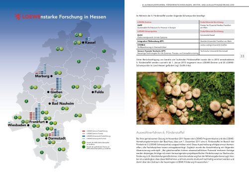 LOEWE Jahresbericht 2012 - Hessisches Ministerium für ...